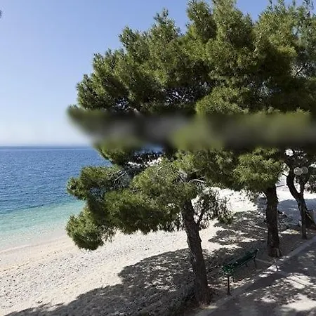 Apartament In With Sea View, Balcony, Air Conditioning, Wifi 3674-1 Tučepi
